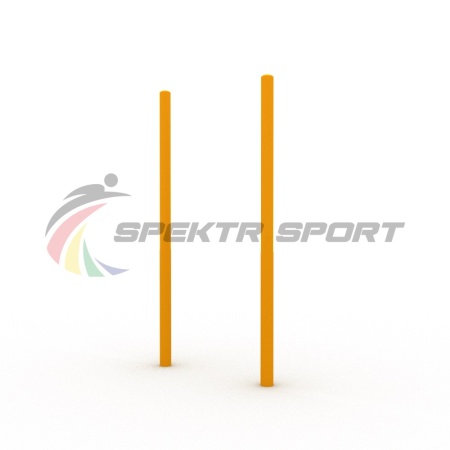 Купить Столбы вертикальные для выполнения упражнений Воркаут SP WRK-18_76mm в Александровске 
